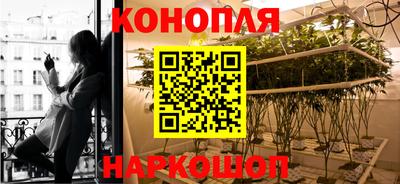 каннабис Кингисепп